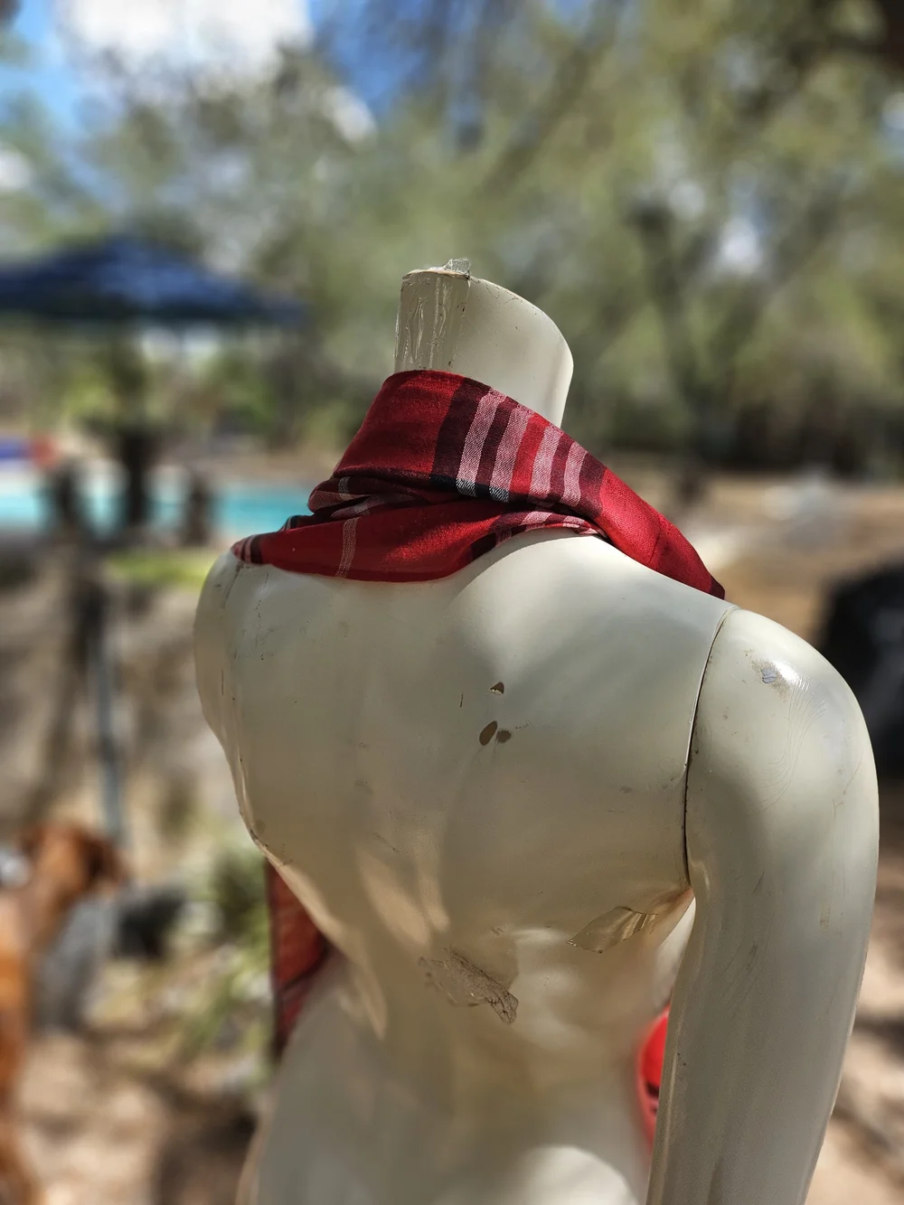 New W Tag V. FRAAS Red Plaid Infinity Scarf